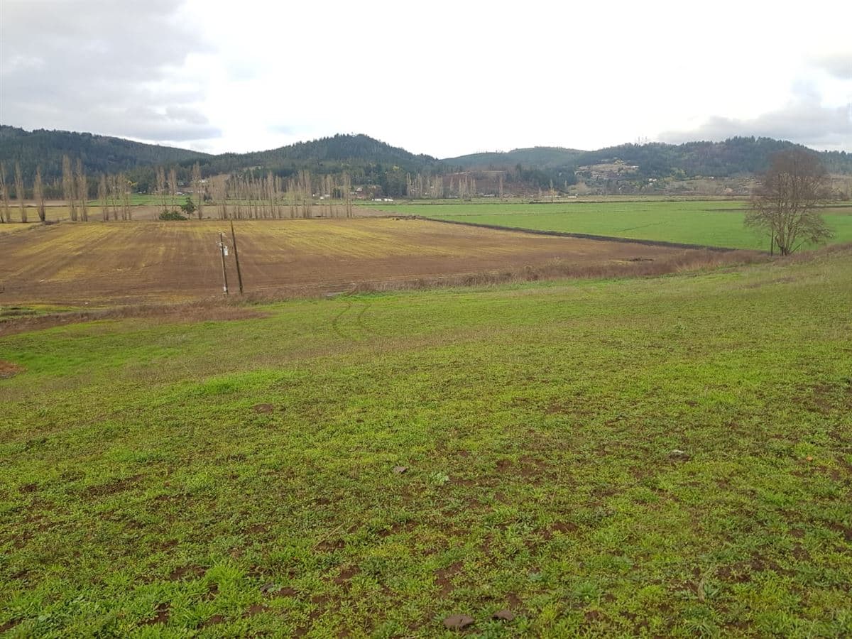 COD36399 Supermercado HIPER LIDER de Prieto Norte