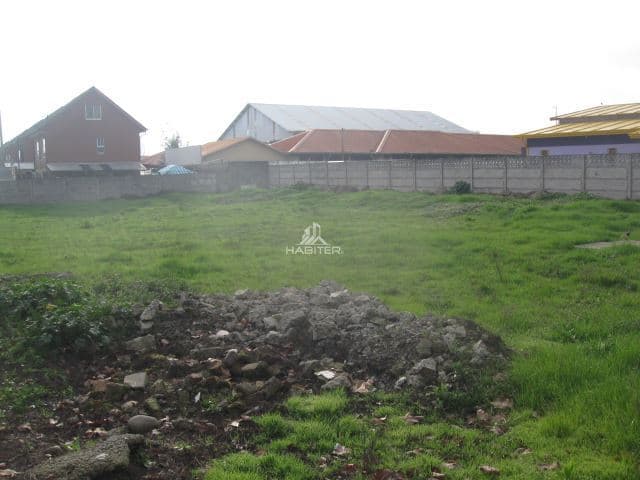 luis cruz martinez 2800