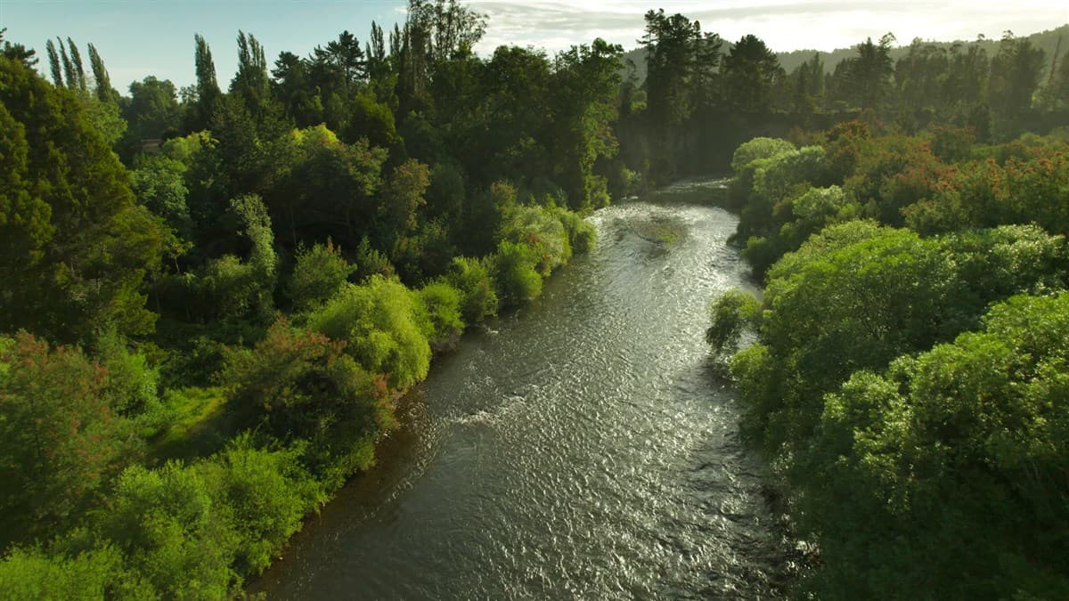 COD39723 con Rio, praderas, y bosque nativo, a 20 minutos de Temuco