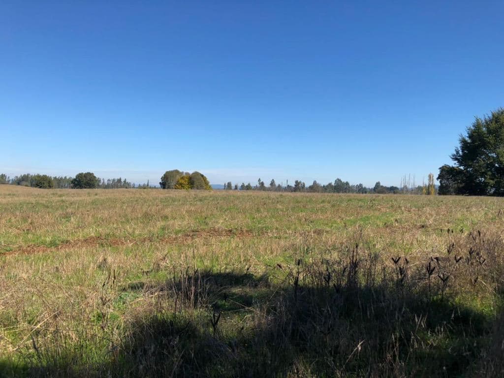 COD36296 A 45 km de la comuna de Temuco 