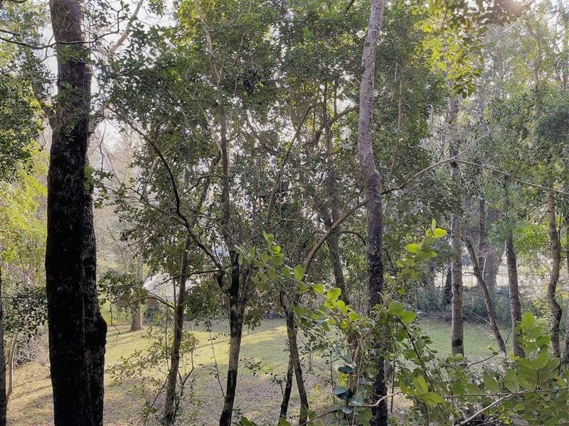 COD39336 - Variante Internacional Pucon