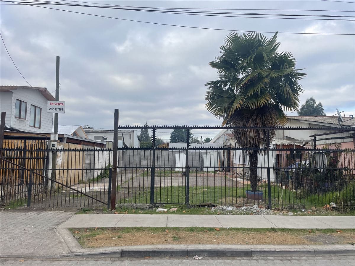 AVENIDA ALLESSANDRI SECTOR POBLACION 18 DE SEPTIEMBRE