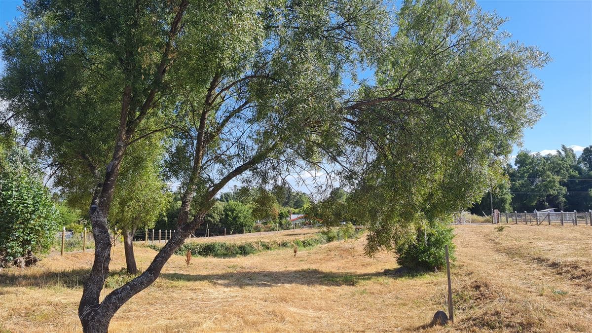 KM. 9 ENTRADA SAN GERARDO