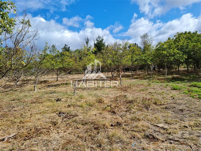 San Carlos Puren - Retén Carabineros