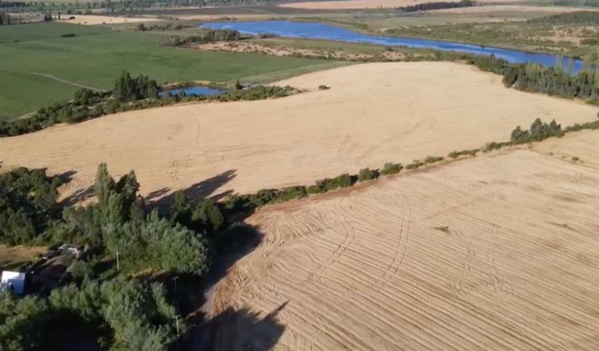 COD39013 Santa Clara