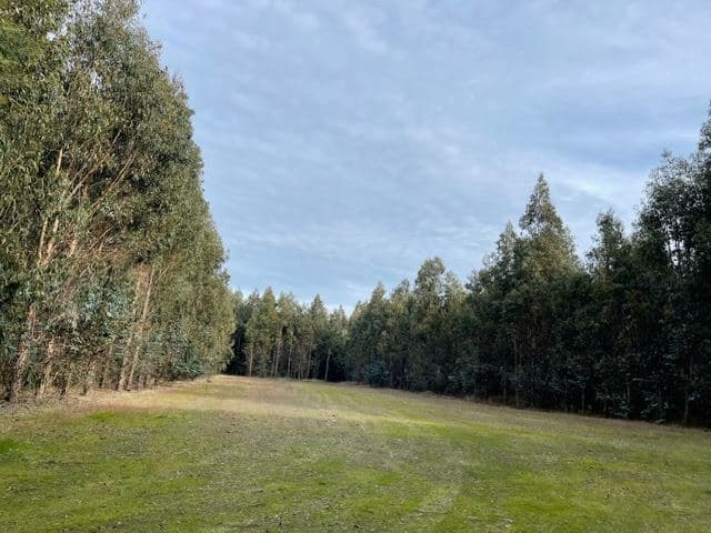 Terreno La Quinta ubicado a 1300 metros al sur del enlace Cabrero con ruta 5 Sur