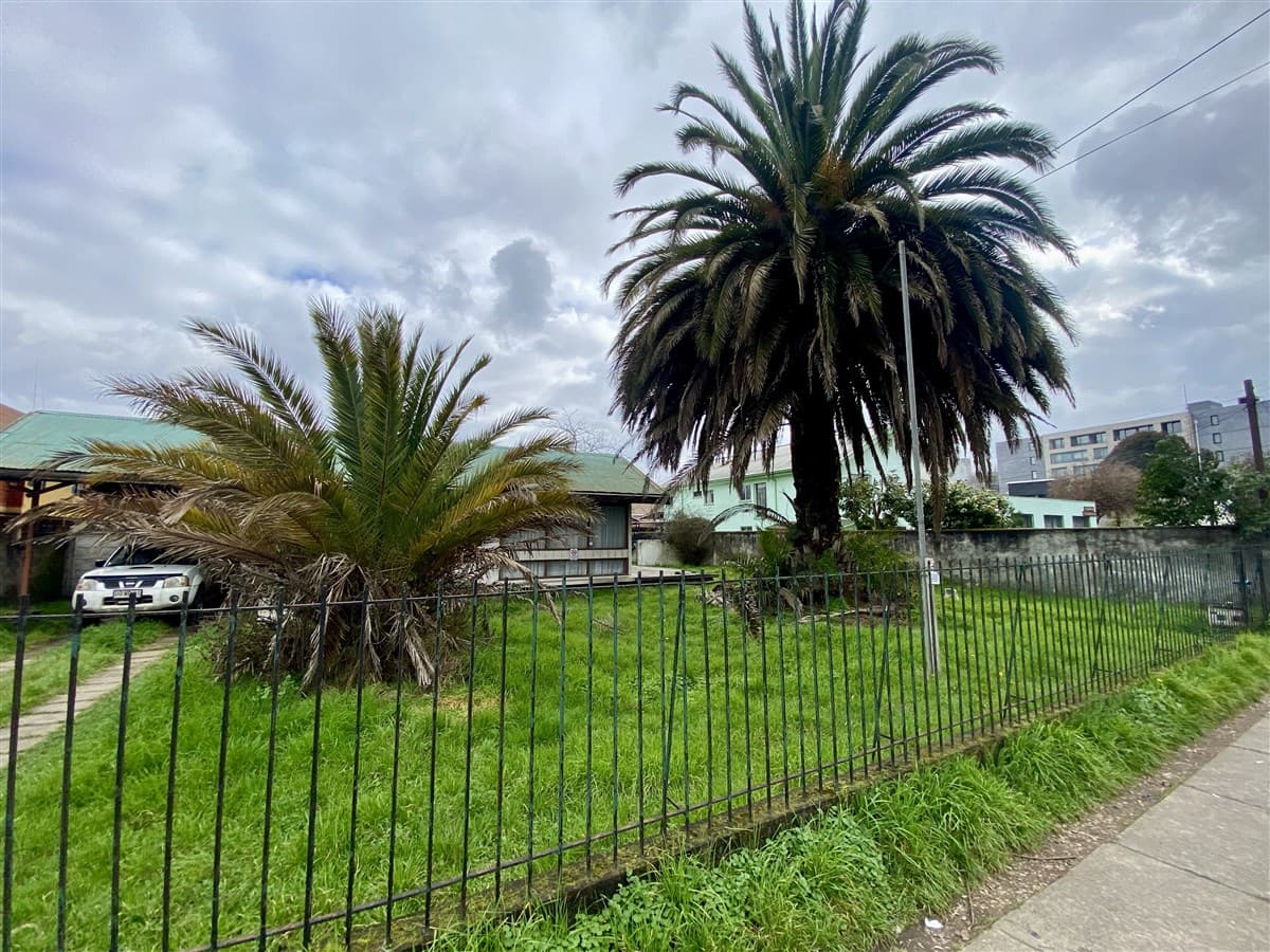 COD35562 Avenida San Martin sector Plaza las Banderas