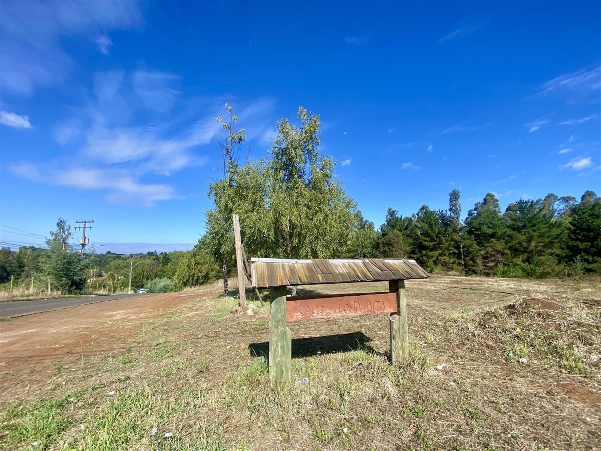 COD39782 - Lomas del Carmen 