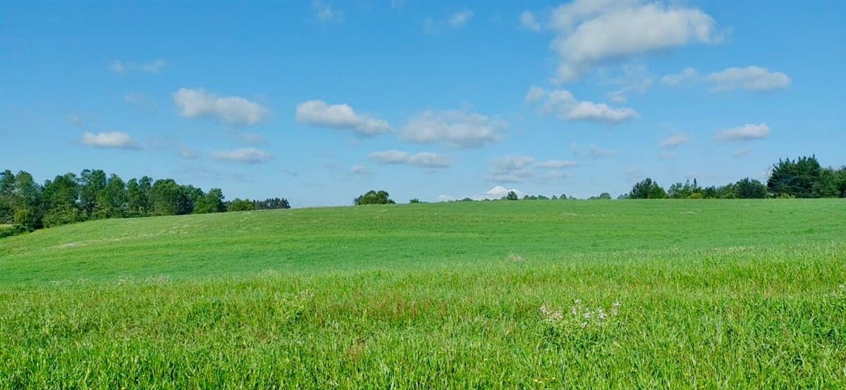 COD39195 Precioso campo en la comuna de Vilcún a minutos de Temuco