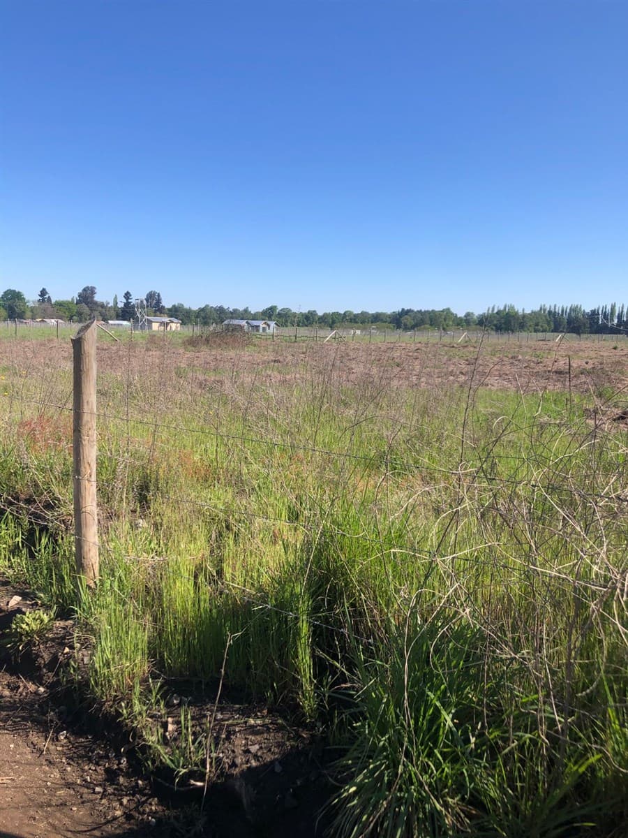 20 KM CAMINO A ANTUCO SECTOR DIUTO