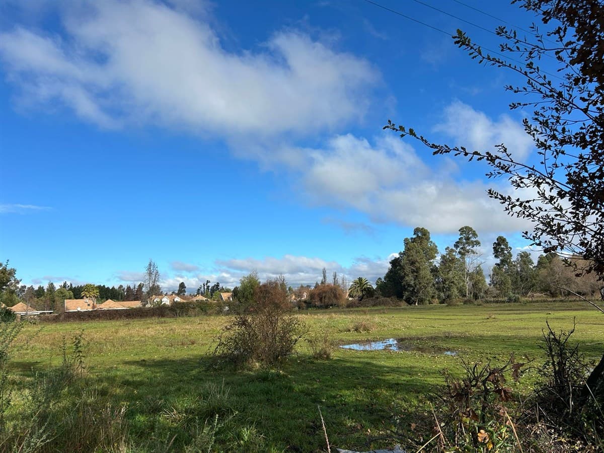 COD38911 Las Coles Chillán