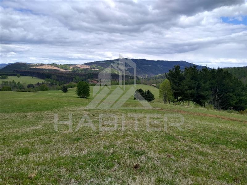 COD34497 Sector Dollinco Los Tallos Alto