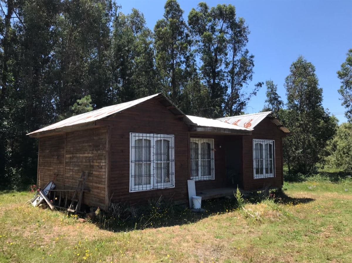 Lo Patricio a orilla de camino