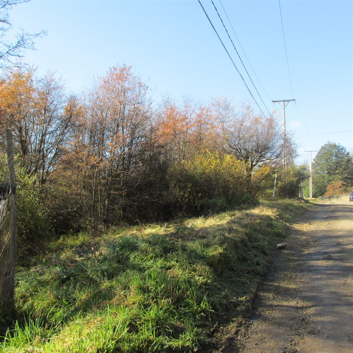 COD38874 - Parcela - Venta - Coihaique