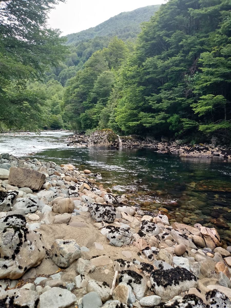 COD36144 - Agrícola - Venta - Aisén