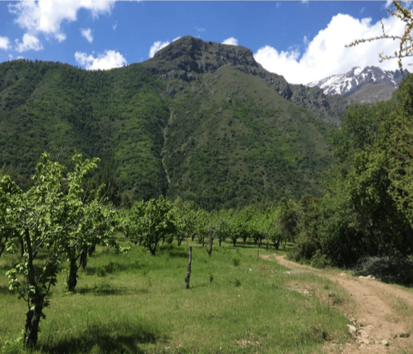 Ruta Internacional Paso Vergara Km 65, Los Queñes 