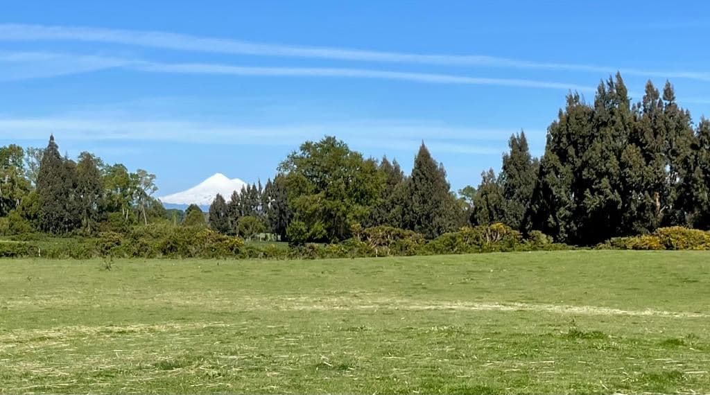 COD35266 Lautaro Sector Peu Peu - Camino Ruta S-155 KM 6.1