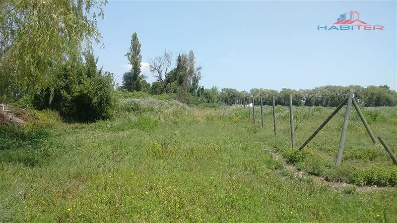 León Bustos 12, Linares