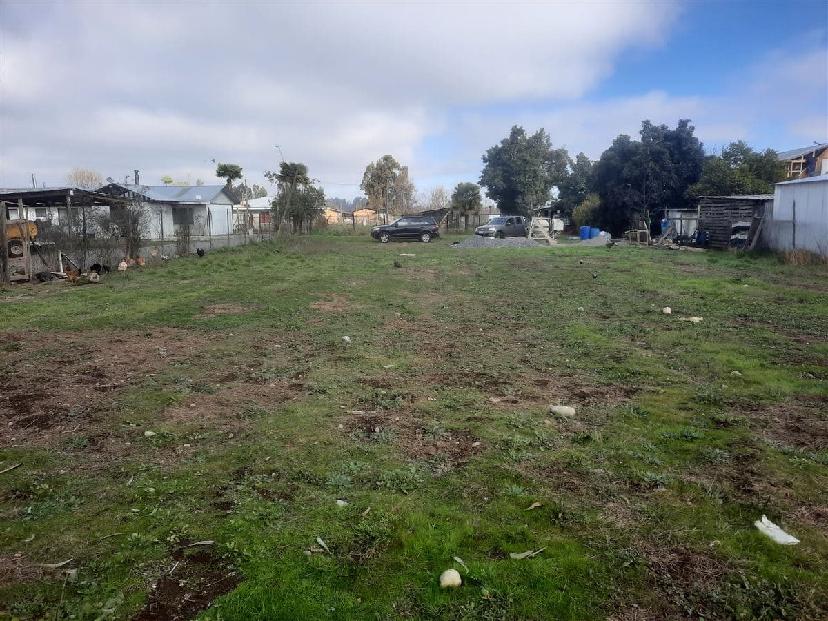 Sector Los Castaños