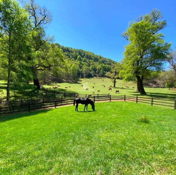 COD34832 Ruta R-49, camino Collipulli a Curaco