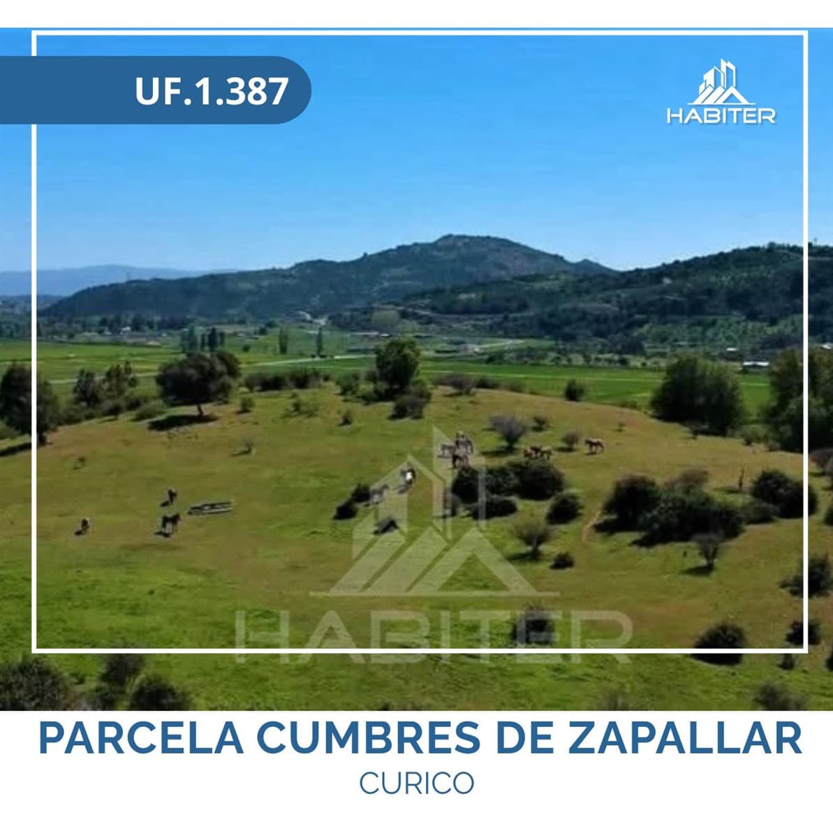 CUMBRES DE ZAPALLAR 