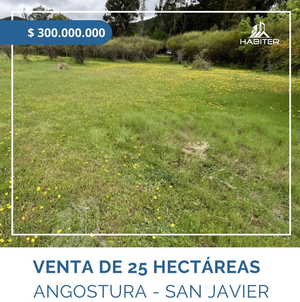 Sector Angostura, San Javier