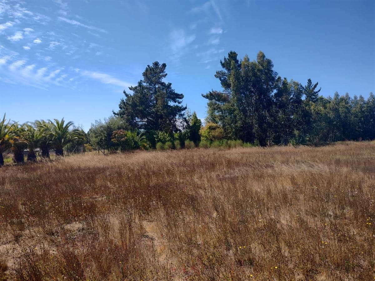 Cerca de cancha de Lo Patricio 