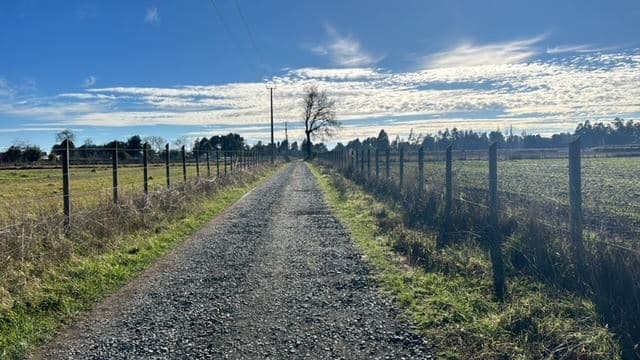 Frente Supermercado El Alamo