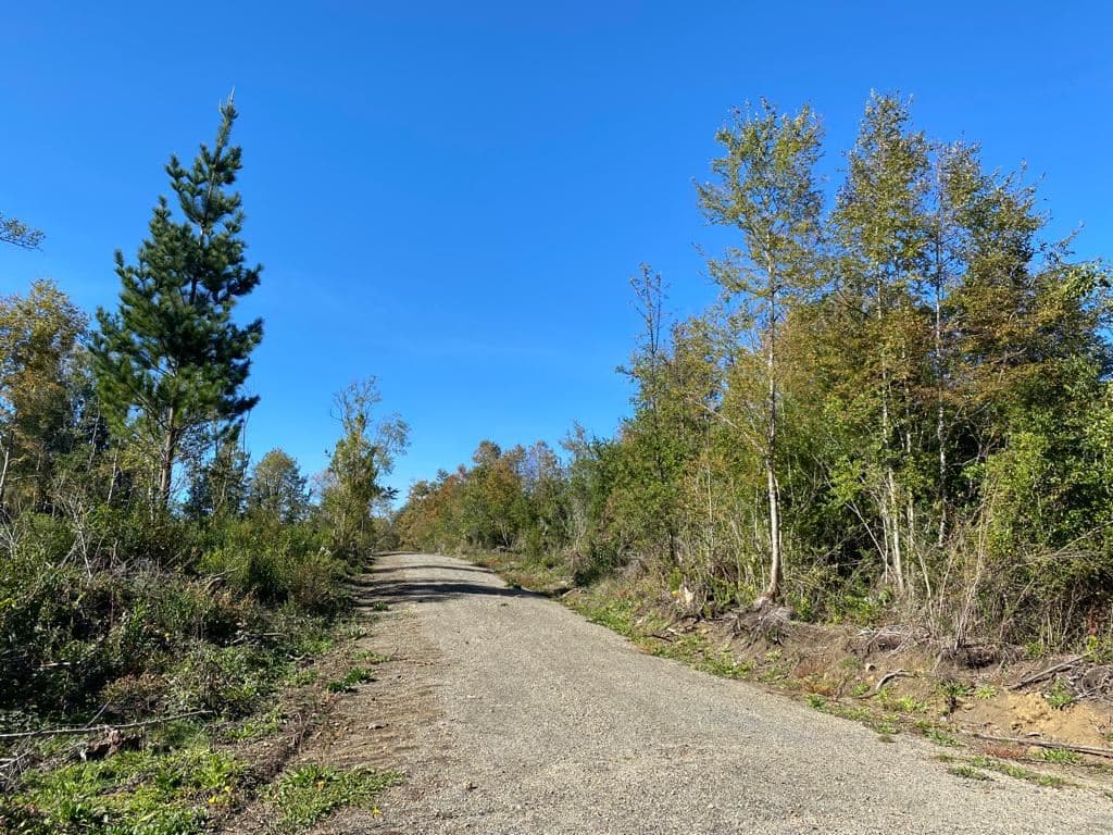 COD36629 Sitios en Loteo con acceso controlado (portón)