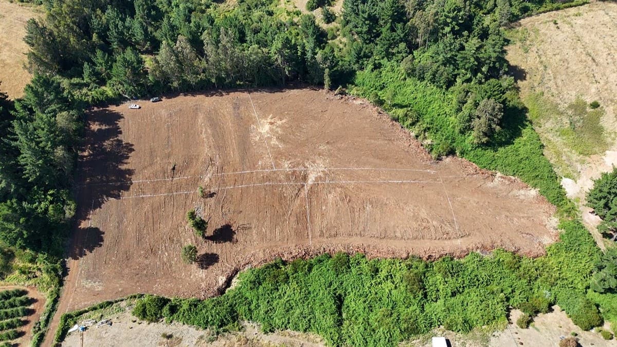 COD39695 Camino Botrolhue - Barrio ingles