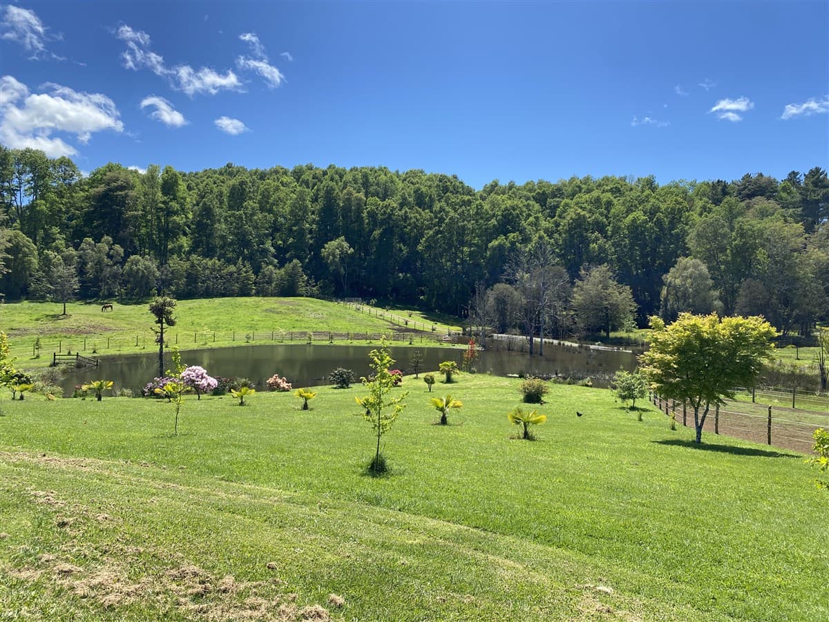 COD39344 Parcela 6 Vilcun