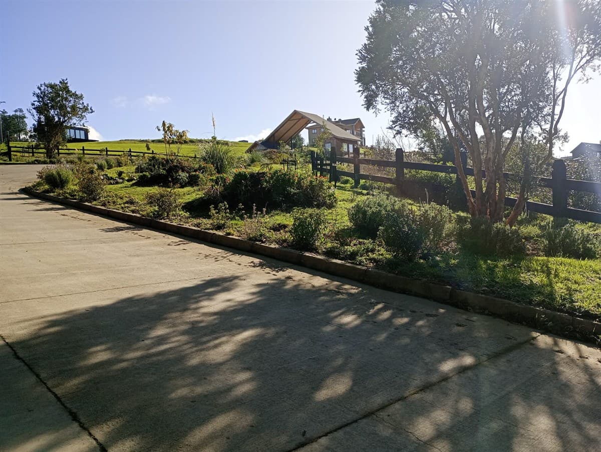 FRUTILLAR ALTO LOS COLONOS 