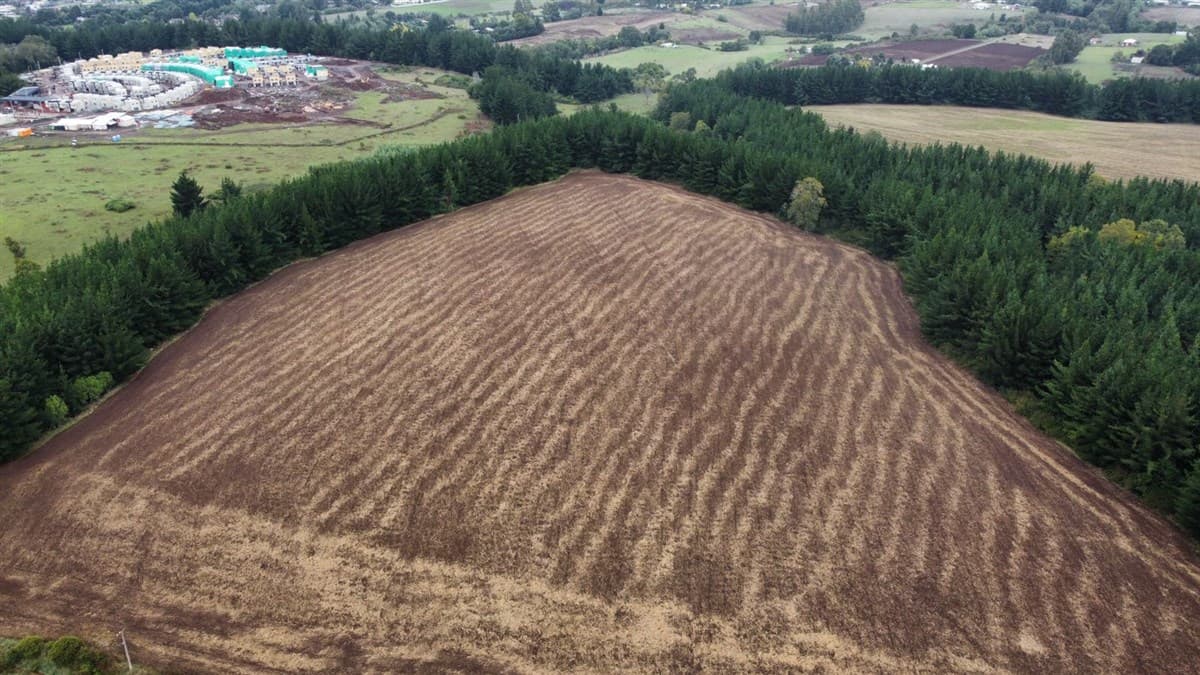 COD38729 FUNDO EL CARMEN - CAMINO TROMEN