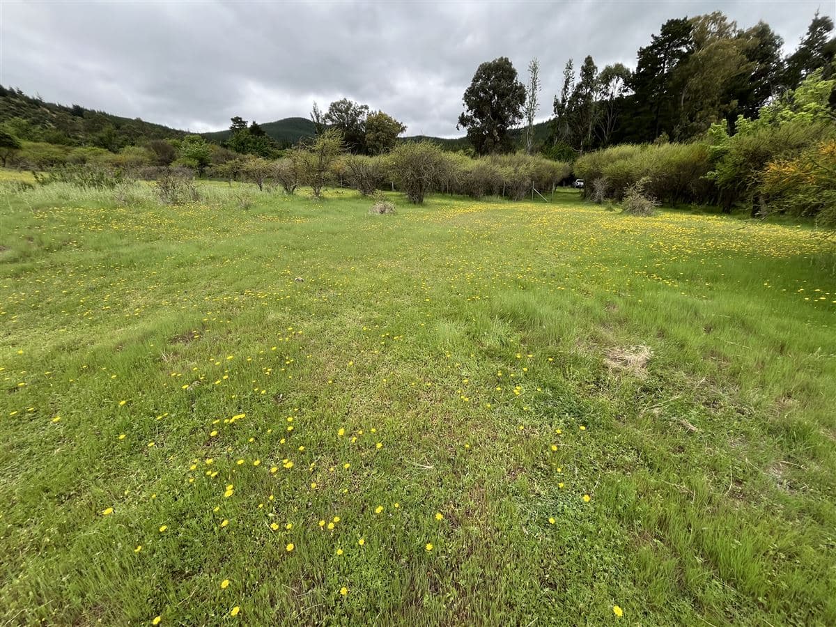 Sector Angostura, San Javier