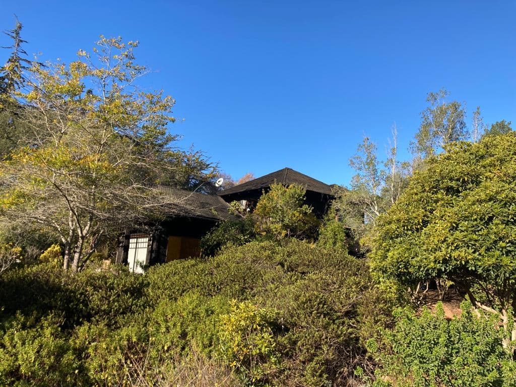 COD34752 La Candelaria