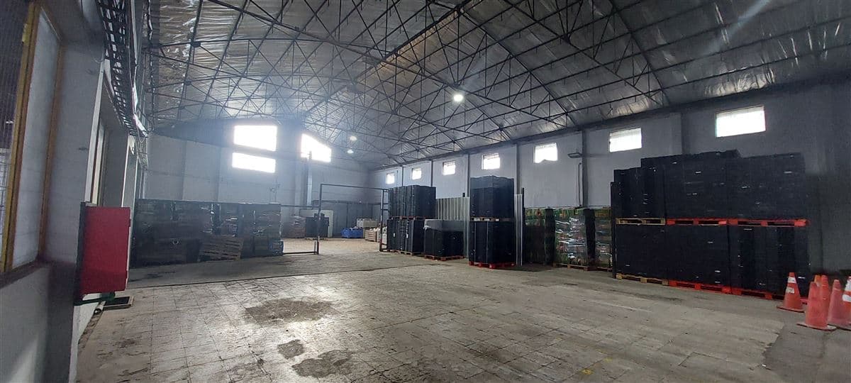 GALPÓN EN ARRIENDO EN CONDOMINIO INDUSTRIAL DE GRAN AVENIDA