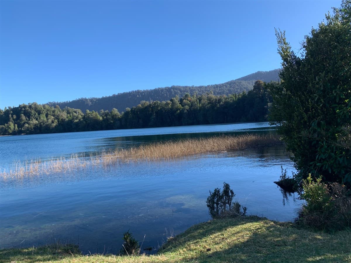 Lago 