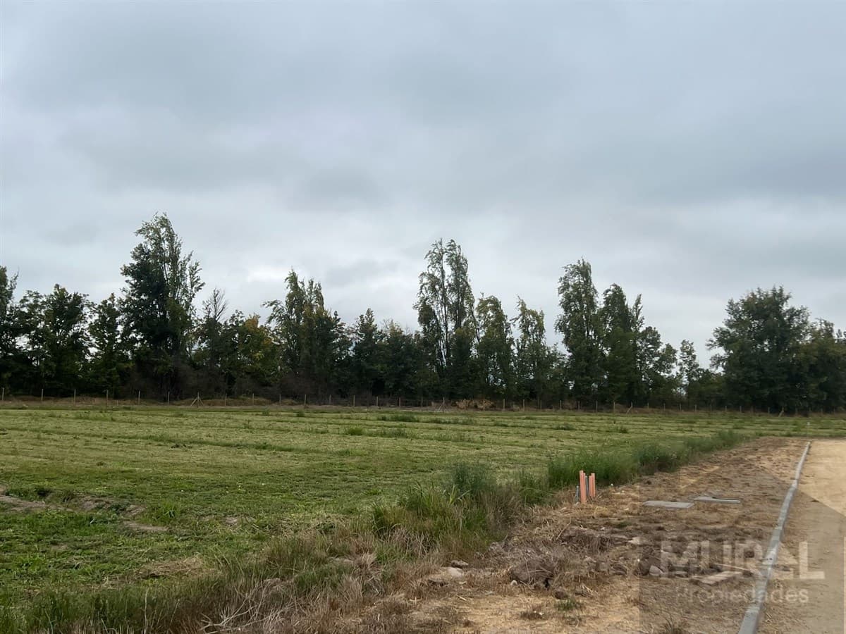 Avda. Manuel Castillo / Avda. Calera de Tango