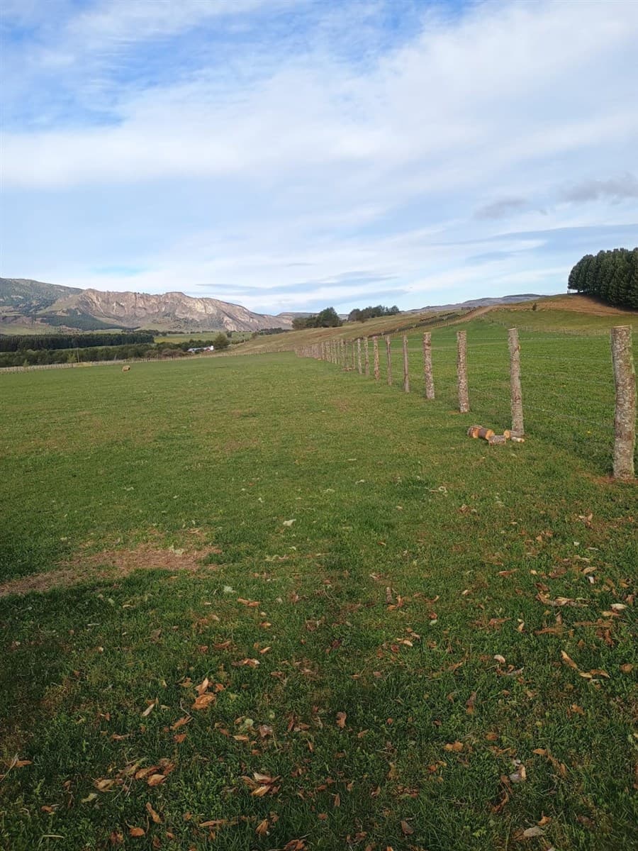 Hermosa parcela de 5000 m2 en Ensenada, Valle Simpson.