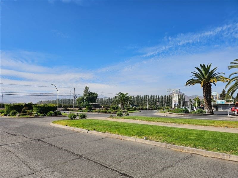 Algarrobal de Chicureo Teresa Spikula