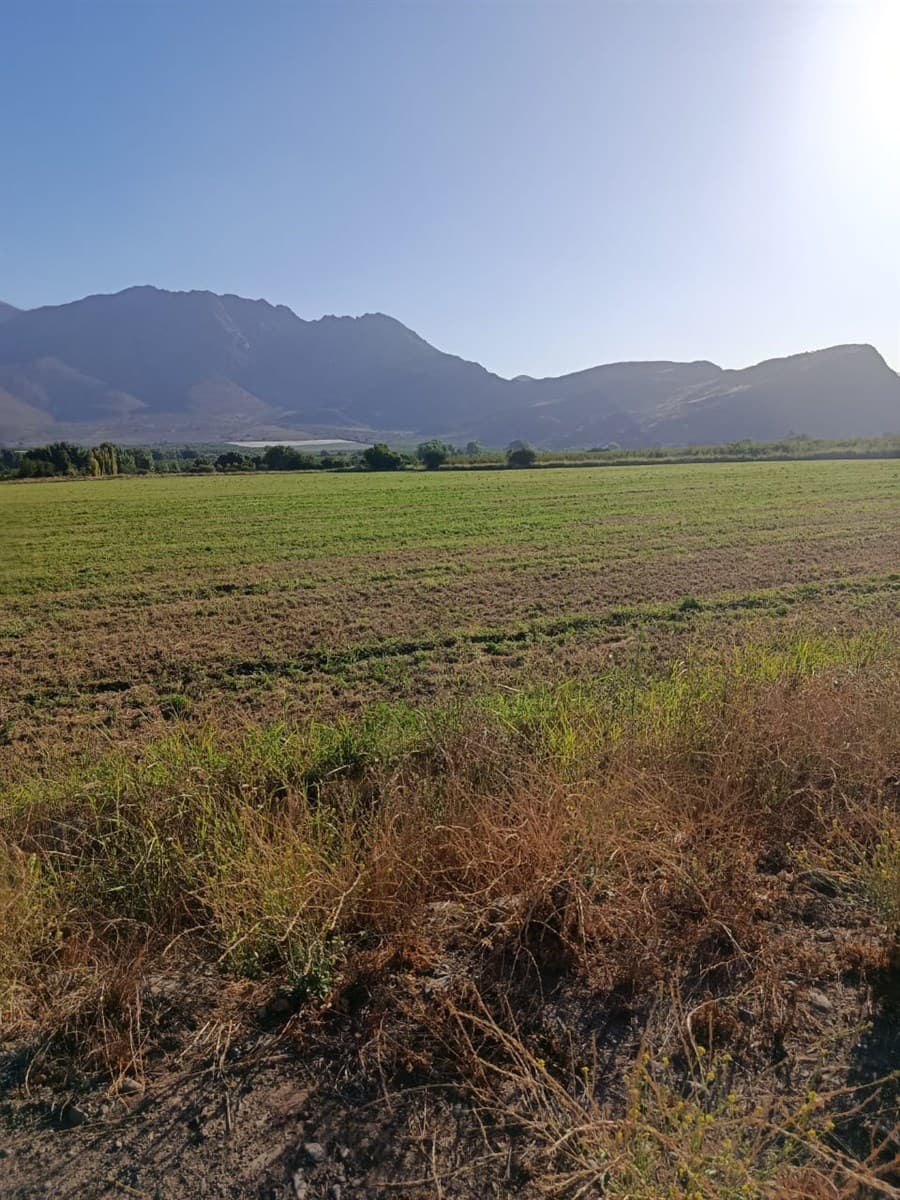 San Vicente de Tagua Tagua