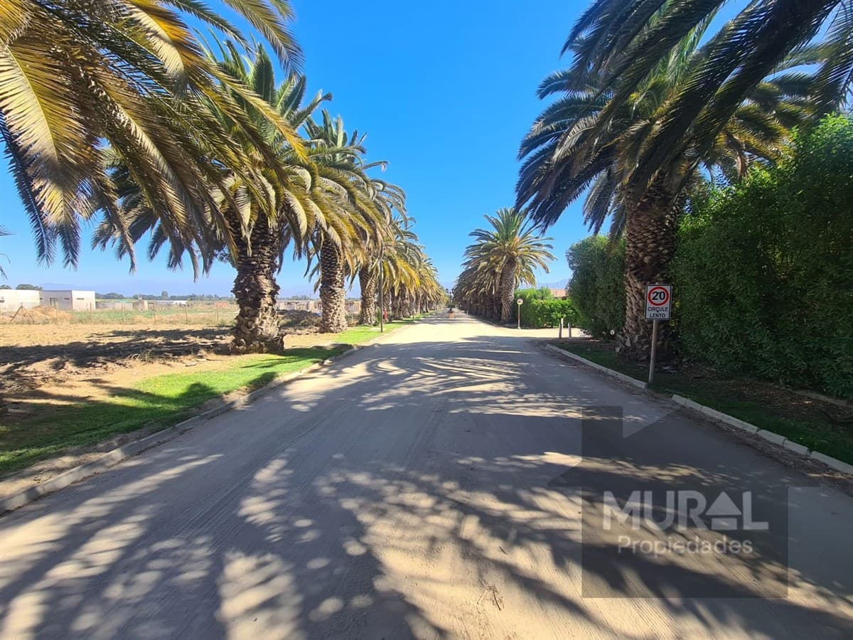 Camino lonquen Sur con Carampangue, colegio Trebulco, Isla de Maipo