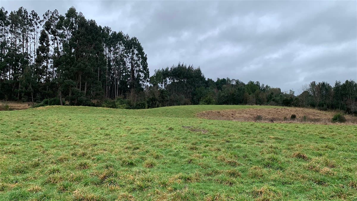 Condominio Las Terrazas de Puerto Varas