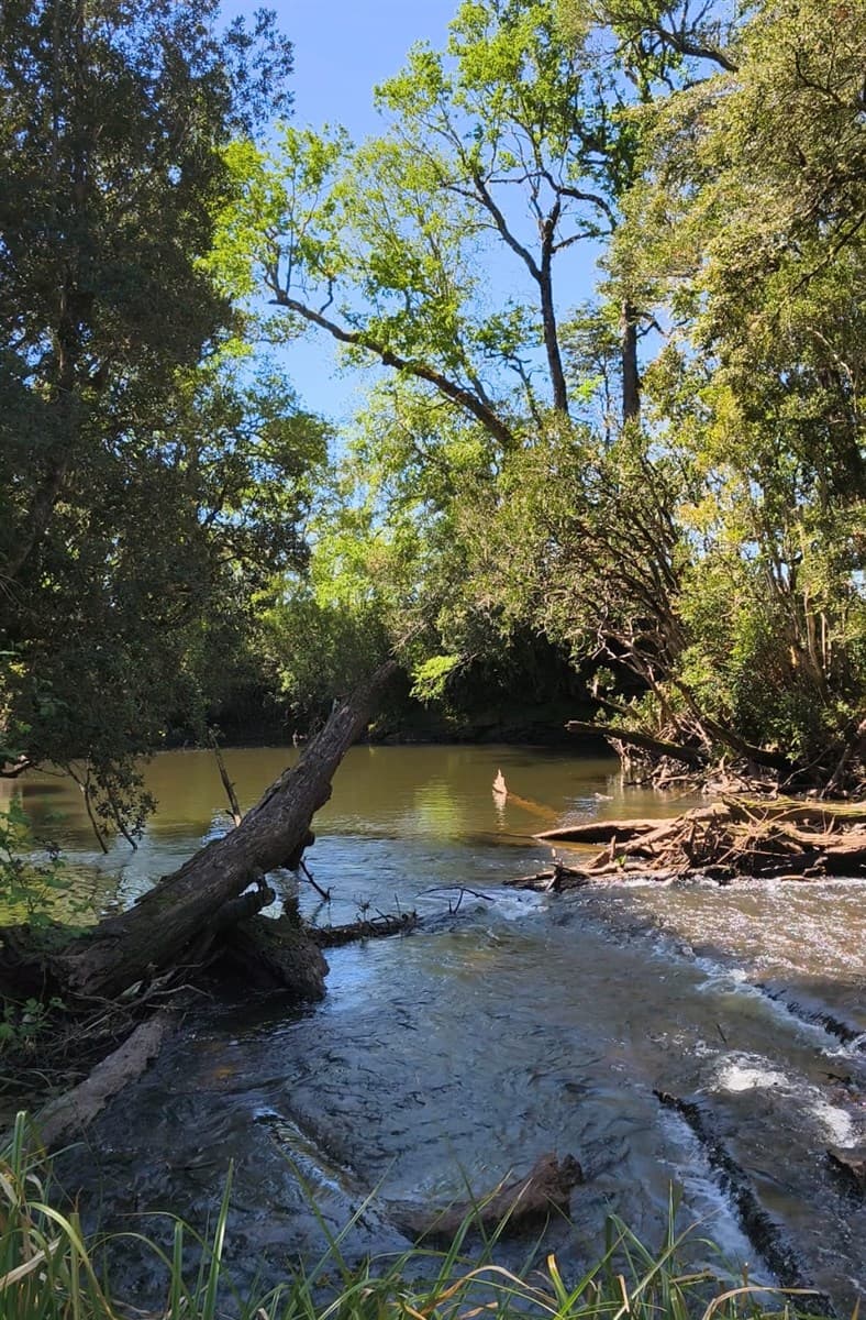 a 3 Kilómetros de Río FRio 