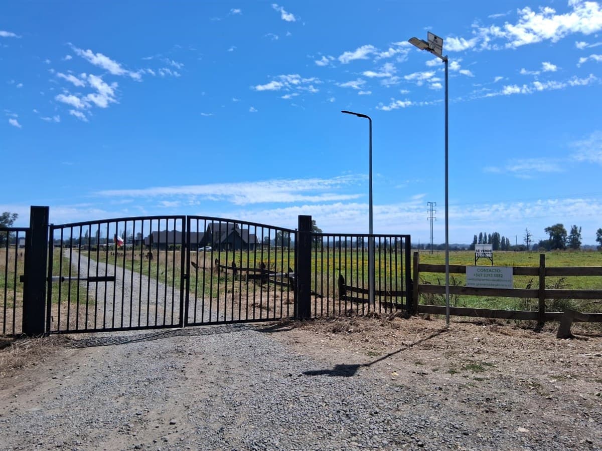 Pilauco, Osorno.