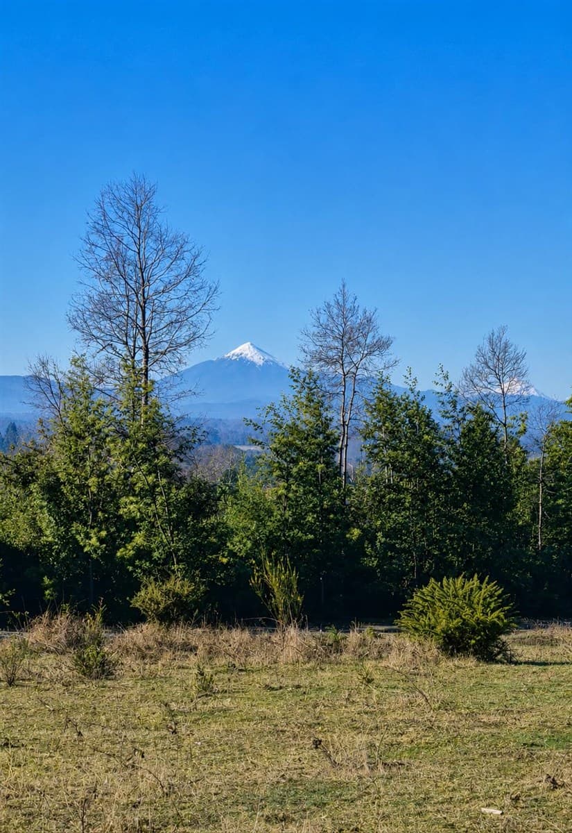Villarrica