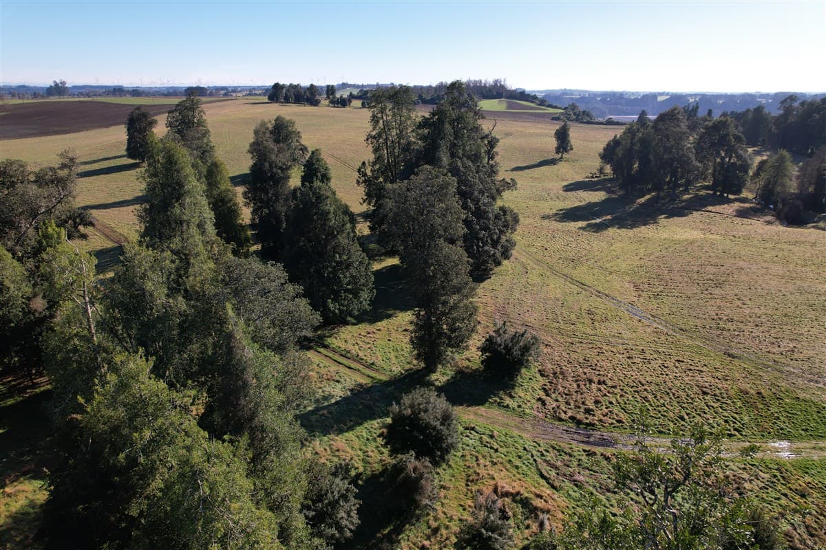HERMOSA PARCELA DE AGRADO 5.000 M2 NUEBA BRAUNA