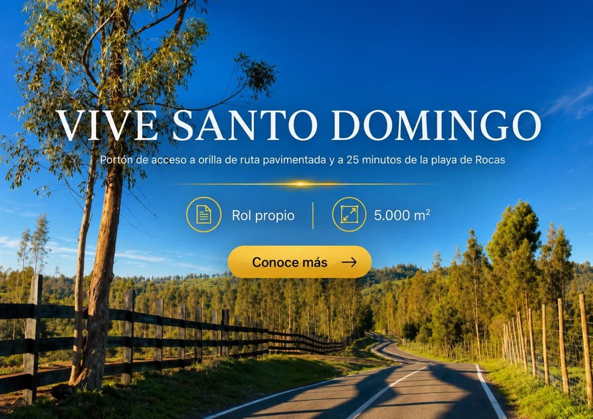 598W+CQ8 Santo Domingo