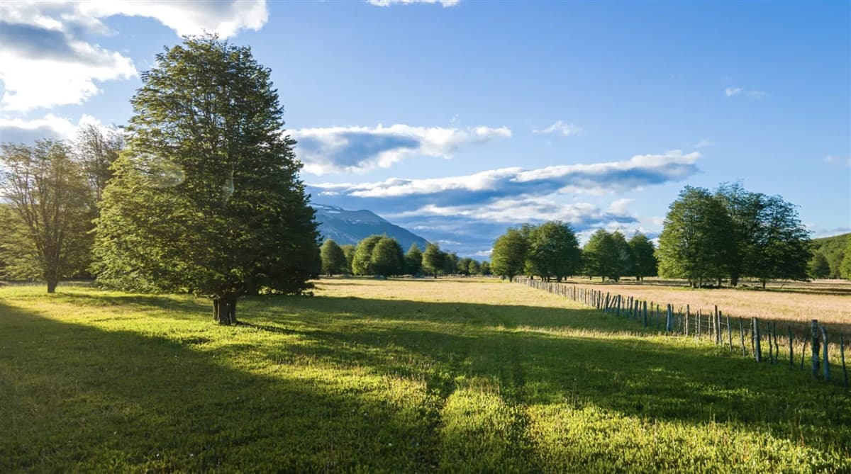 AGUAS DEL BLANCO 25 MINUTOS AEROPUERTO BALMACEDA REGION AYSEN
