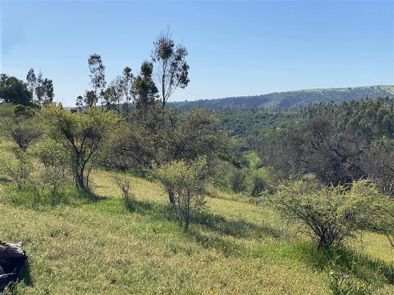 598W+CQ8 Santo Domingo